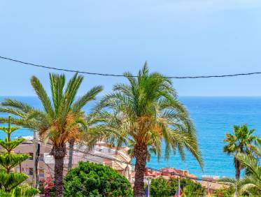 Bestaand - Villa - Torrevieja