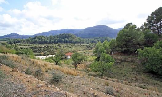 Bouwperceel - Bestaand - Jalón Valley - Jalón Vallei