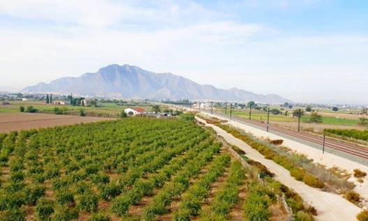 Finca - Bestaand - Callosa De Segura - Callosa De Segura