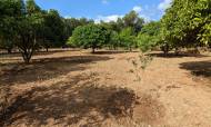 Finca - Bestaand - Denia - SHMBG-22532