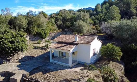 Finca - Bestaand - Orba Valley - Orba Vallei