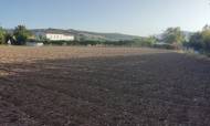Finca - Bestaand - Ronda - LM-72972