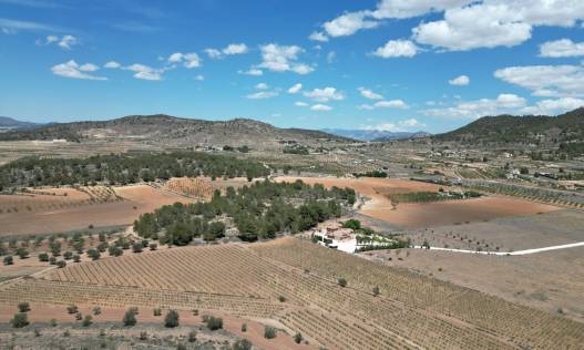 Grond - Bestaand - Pinoso - Pinoso