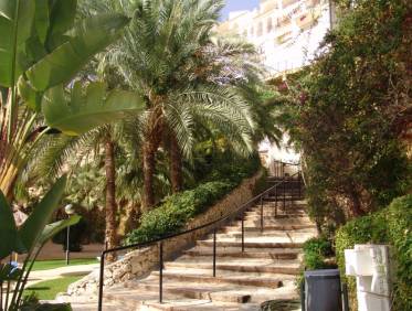 Lange tijd verhuur - Appartement - Altea - Zona de Mascarat