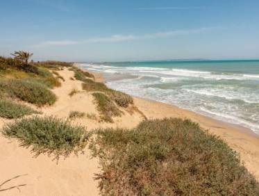 Nieuwbouw - Appartement - Guardamar del segura - puerto deportivo