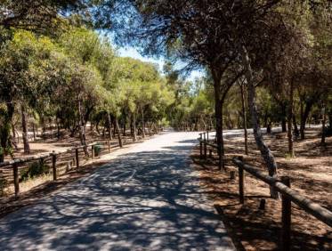 Nieuwbouw - Appartement - Guardamar del segura - puerto deportivo