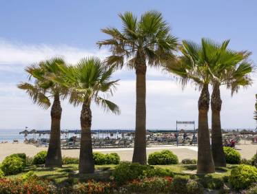 Nieuwbouw - Appartement - Mijas - Hipódromo Costa del Sol