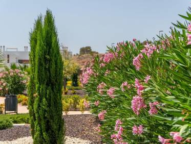 Nieuwbouw - Appartement - Orihuela Costa - Vistabella golf