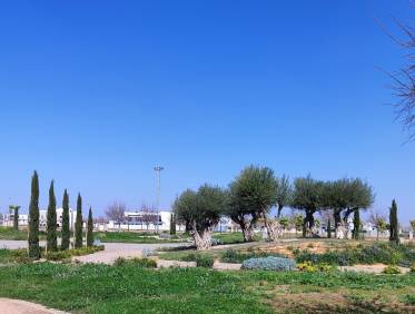 Nieuwbouw - Appartement - Torre Pacheco - Centro