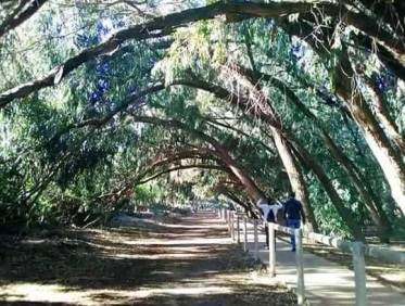 Nieuwbouw - Appartement - Torrevieja - Altos del Sol