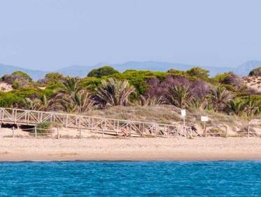 Nieuwbouw - Ground floor apartment - Guardamar del segura - Pueblo