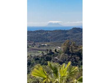 Nieuwbouw - Penthouse - Benahavis - Parque Botanico
