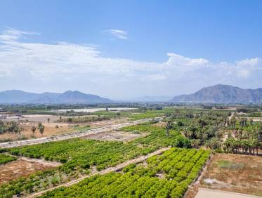 Nieuwbouw - Penthouse - Jacarilla - pueblo