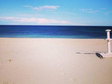 Nieuwbouw - Penthouse - Pilar de la Horadada - Parque Ramon eugenio Escudero