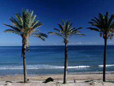 Nieuwbouw - Penthouse - Pilar de la Horadada - Parque Ramon eugenio Escudero