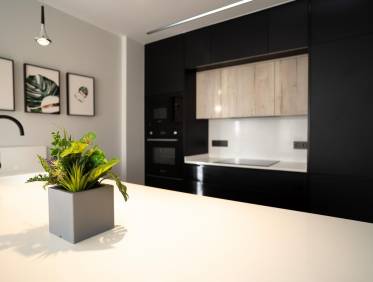 Nieuwbouw - Penthouse - Pilar de la Horadada - pueblo