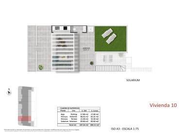 Nieuwbouw - Penthouse - Pilar de la Horadada - pueblo