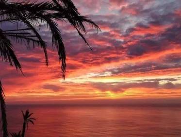 Nieuwbouw - Penthouse - Torrevieja - Altos del Sol