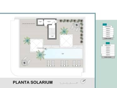 Nieuwbouw - Penthouse - Torrevieja - El acequión