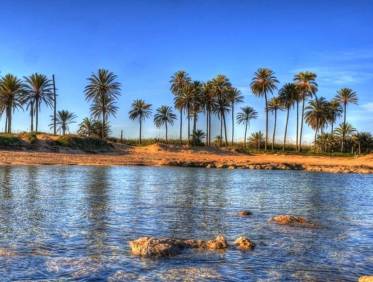 Nieuwbouw - Penthouse - Torrevieja - Playa de El Cura