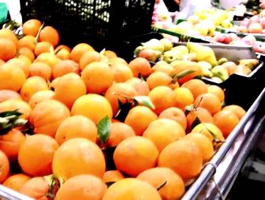 Nieuwbouw - Penthouse - Torrevieja