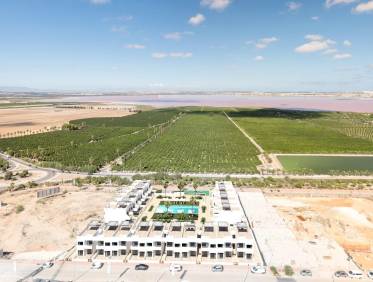 Nieuwbouw - Penthouse - Torrevieja