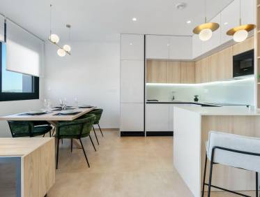 Nieuwbouw - Penthouse - Torrevieja