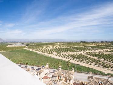 Nieuwbouw - Townhouse / Semi-detached - Algorfa - La Finca Golf