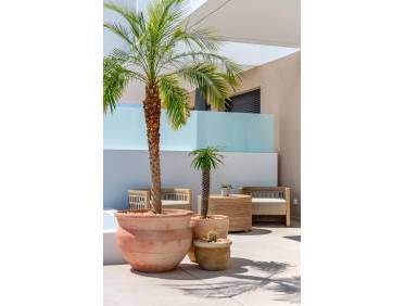 Nieuwbouw - Townhouse / Semi-detached - Dolores - Sector 3