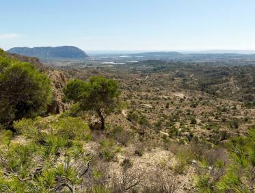 Nieuwbouw - Villa - Aspe - Centro
