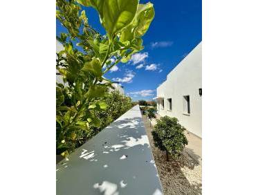 Nieuwbouw - Villa - Benijófar - Pueblo