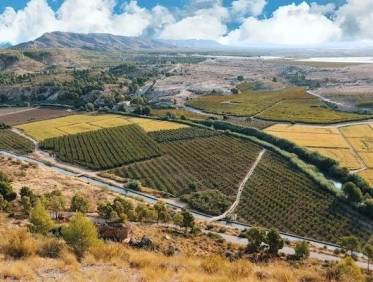 Nieuwbouw - Villa - Calasparra - Coto Riñales