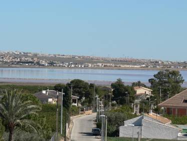 Nieuwbouw - Villa - Los Montesinos - La Herrada
