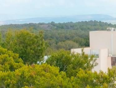 Nieuwbouw - Villa - Orihuela Costa - Pau 26