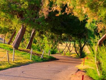 Nieuwbouw - Villa - Pilar de la Horadada - Lo Romero Golf