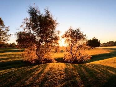 Nieuwbouw - Villa - Pilar de la Horadada - Lo Romero Golf