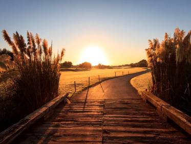 Nieuwbouw - Villa - Pilar de la Horadada - Lo Romero Golf