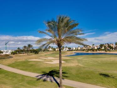 Nieuwbouw - Villa - Pilar de la Horadada - Roda Golf