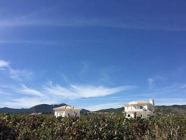 Nieuwbouw - Villa - Pinoso - Camino Del Prado