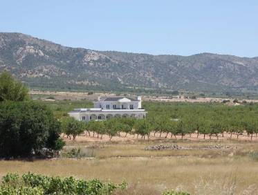 Nieuwbouw - Villa - Pinoso - Camino Del Prado