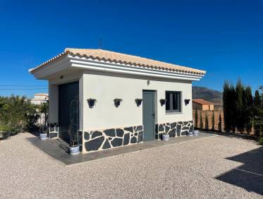 Nieuwbouw - Villa - Pinoso - Camino Del Prado
