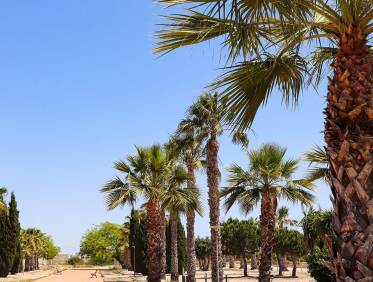 Nieuwbouw - Villa - San Fulgencio - La Escuera