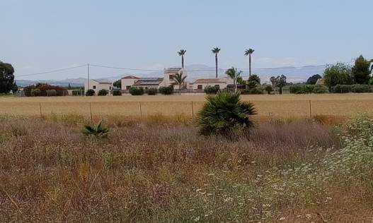 Parcela · Bestaand · San Fulgencio · San Fulgencio
