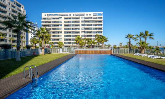 Penthouse - Bestaand - Torrevieja - Torrevieja