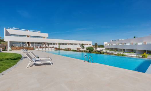 Penthouse - Nieuwbouw - Torrevieja - Torrevieja