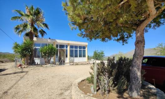 Two-flat House - Bestaand - Hondón de las Nieves - el Rebalso