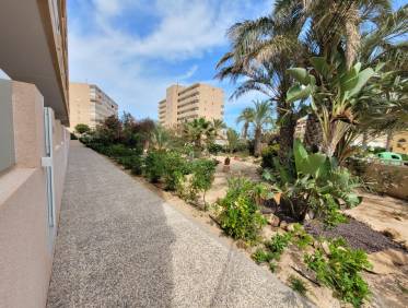 Vakantie verhuur - Appartement - La Mata