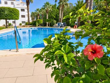 Vakantie verhuur - Appartement - Orihuela Costa - Villamartin