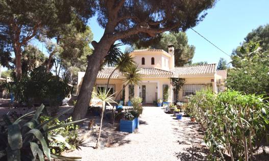 Villa - Bestaand - Algorfa - Montemar - Saint Andrews Heights