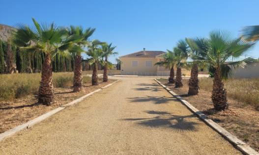 Villa · Bestaand · Hondón de las Nieves · Hondón de las Nieves / el Fondó de les Neus